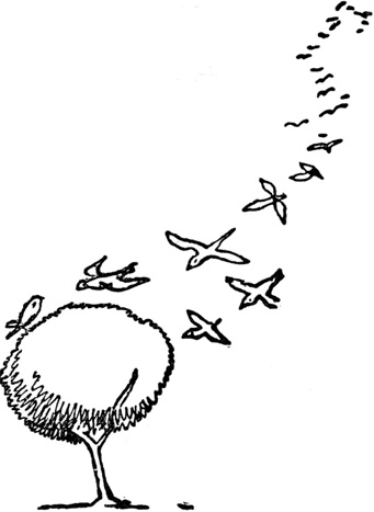 Иллюстрация к книге — Чистый nonsense [_129.jpg]