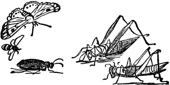 Иллюстрация к книге — Чистый nonsense [_132.jpg]