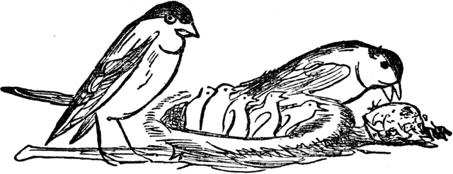 Иллюстрация к книге — Чистый nonsense [_133.jpg]