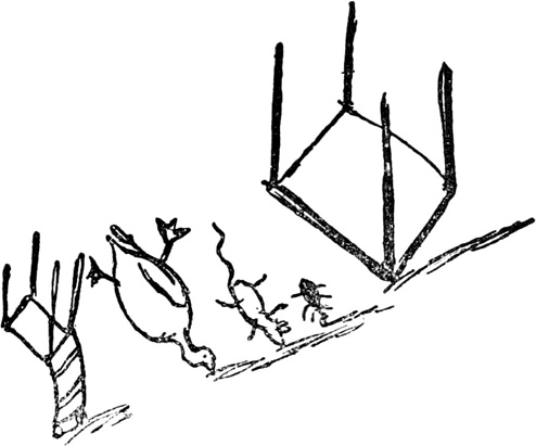 Иллюстрация к книге — Чистый nonsense [_139.jpg]