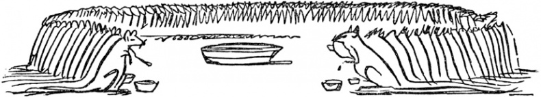 Иллюстрация к книге — Чистый nonsense [_146.jpg]