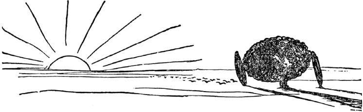 Иллюстрация к книге — Чистый nonsense [_149.jpg]