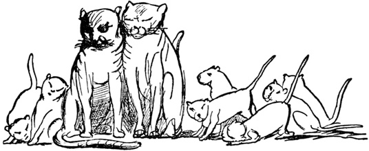 Иллюстрация к книге — Чистый nonsense [_154.jpg]