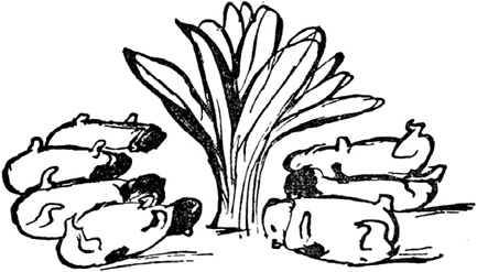 Иллюстрация к книге — Чистый nonsense [_157.jpg]