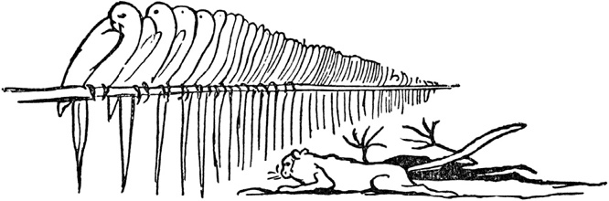 Иллюстрация к книге — Чистый nonsense [_162.jpg]