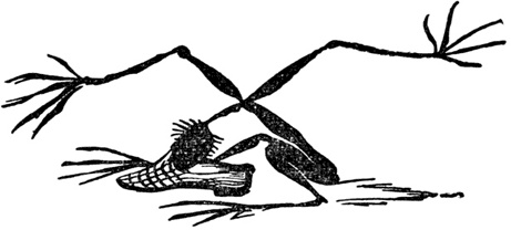 Иллюстрация к книге — Чистый nonsense [_164.jpg]