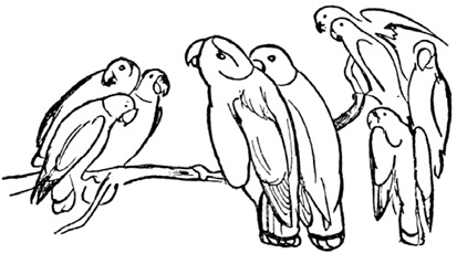 Иллюстрация к книге — Чистый nonsense [_168.jpg]