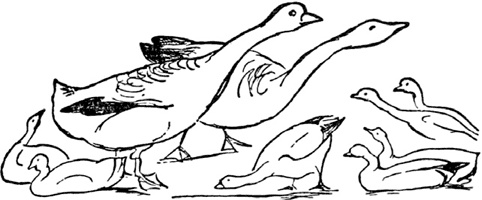 Иллюстрация к книге — Чистый nonsense [_169.jpg]