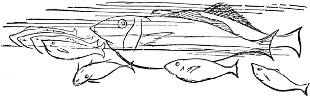 Иллюстрация к книге — Чистый nonsense [_171.jpg]