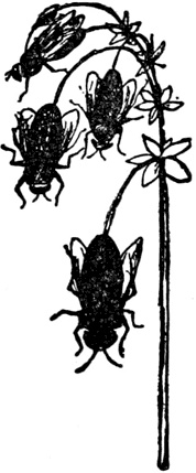 Иллюстрация к книге — Чистый nonsense [_178.jpg]