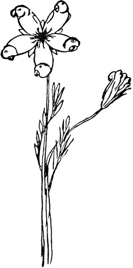 Иллюстрация к книге — Чистый nonsense [_179.jpg]