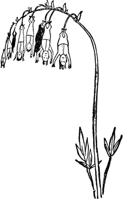 Иллюстрация к книге — Чистый nonsense [_182.jpg]