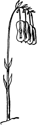 Иллюстрация к книге — Чистый nonsense [_183.jpg]