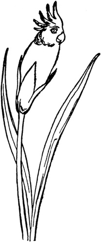 Иллюстрация к книге — Чистый nonsense [_184.jpg]