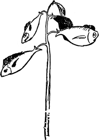 Иллюстрация к книге — Чистый nonsense [_186.jpg]