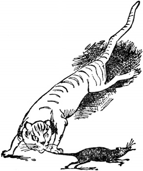 Иллюстрация к книге — Чистый nonsense [_190.jpg]