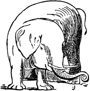 Иллюстрация к книге — Чистый nonsense [_192.jpg]