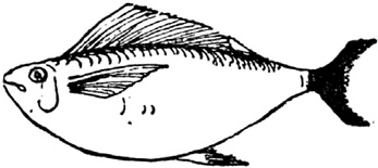 Иллюстрация к книге — Чистый nonsense [_193.jpg]