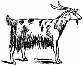 Иллюстрация к книге — Чистый nonsense [_194.jpg]