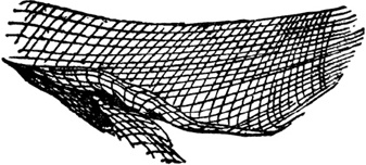 Иллюстрация к книге — Чистый nonsense [_201.jpg]