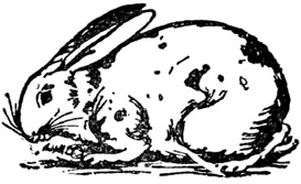 Иллюстрация к книге — Чистый nonsense [_205.jpg]