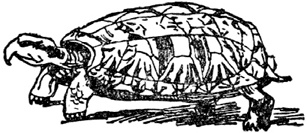 Иллюстрация к книге — Чистый nonsense [_207.jpg]