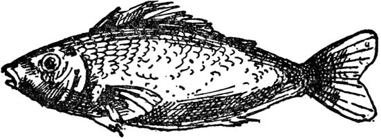 Иллюстрация к книге — Чистый nonsense [_219.jpg]