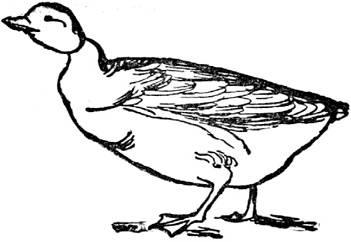 Иллюстрация к книге — Чистый nonsense [_220.jpg]