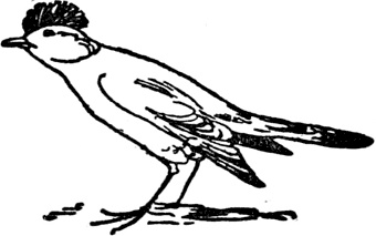 Иллюстрация к книге — Чистый nonsense [_225.jpg]