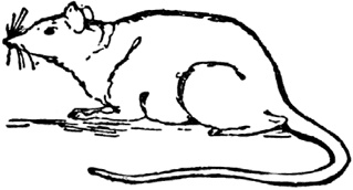 Иллюстрация к книге — Чистый nonsense [_226.jpg]