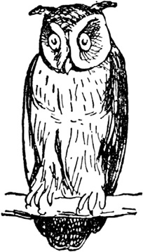 Иллюстрация к книге — Чистый nonsense [_228.jpg]