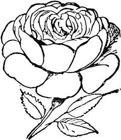 Иллюстрация к книге — Чистый nonsense [_231.jpg]