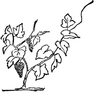 Иллюстрация к книге — Чистый nonsense [_235.jpg]