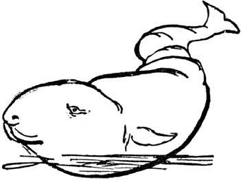 Иллюстрация к книге — Чистый nonsense [_236.jpg]