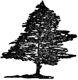 Иллюстрация к книге — Чистый nonsense [_238.jpg]