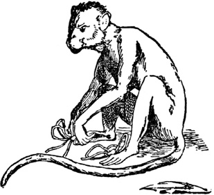 Иллюстрация к книге — Чистый nonsense [_240.jpg]