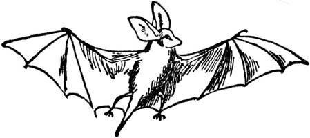 Иллюстрация к книге — Чистый nonsense [_241.jpg]