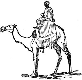 Иллюстрация к книге — Чистый nonsense [_242.jpg]