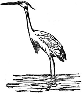 Иллюстрация к книге — Чистый nonsense [_247.jpg]