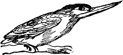 Иллюстрация к книге — Чистый nonsense [_250.jpg]