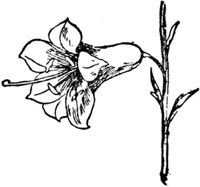 Иллюстрация к книге — Чистый nonsense [_251.jpg]