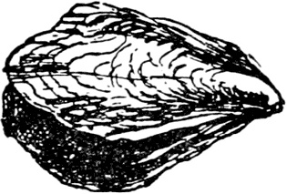 Иллюстрация к книге — Чистый nonsense [_254.jpg]