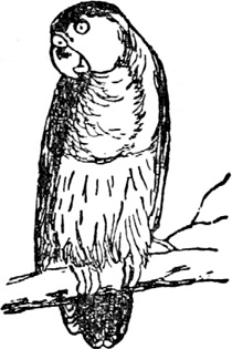 Иллюстрация к книге — Чистый nonsense [_255.jpg]