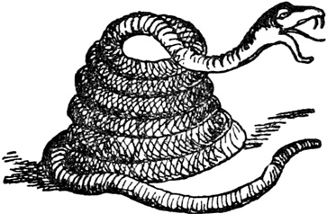 Иллюстрация к книге — Чистый nonsense [_257.jpg]