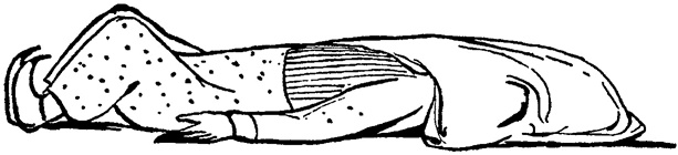 Иллюстрация к книге — Чистый nonsense [_267.jpg]