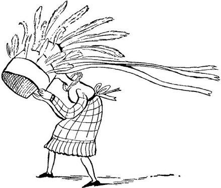 Иллюстрация к книге — Чистый nonsense [_280.jpg]