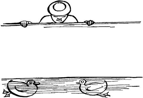 Иллюстрация к книге — Чистый nonsense [_303.jpg]