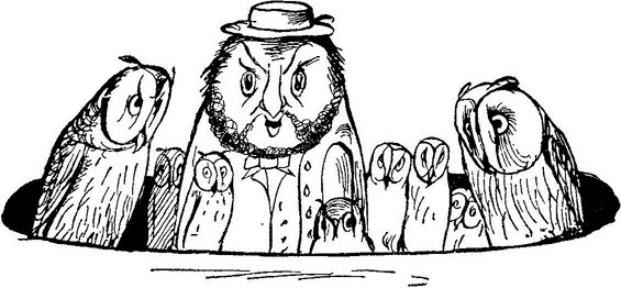 Иллюстрация к книге — Чистый nonsense [_339.jpg]