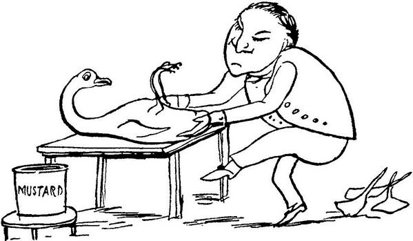 Иллюстрация к книге — Чистый nonsense [_357.jpg]