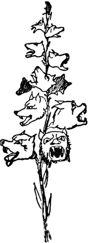 Иллюстрация к книге — Чистый nonsense [_367.jpg]